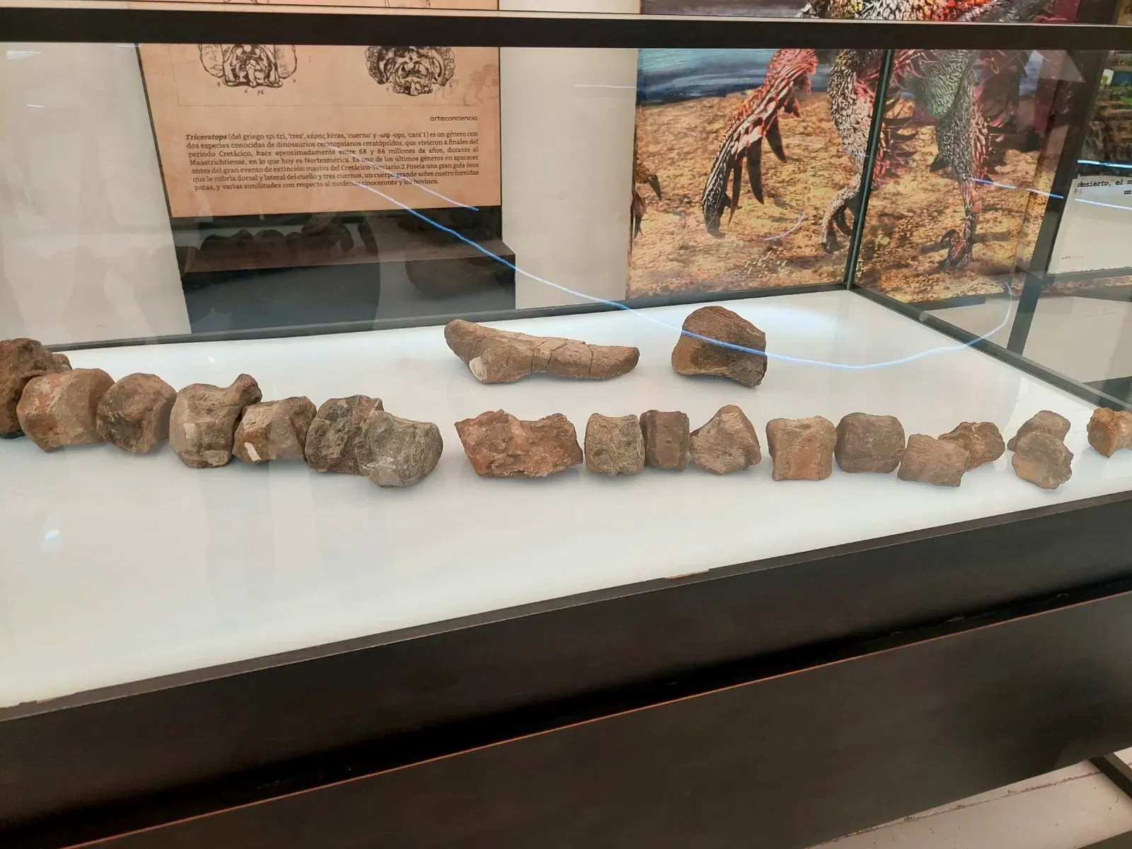 Descubre Museo Interactivo de Ciencia y Tecnología