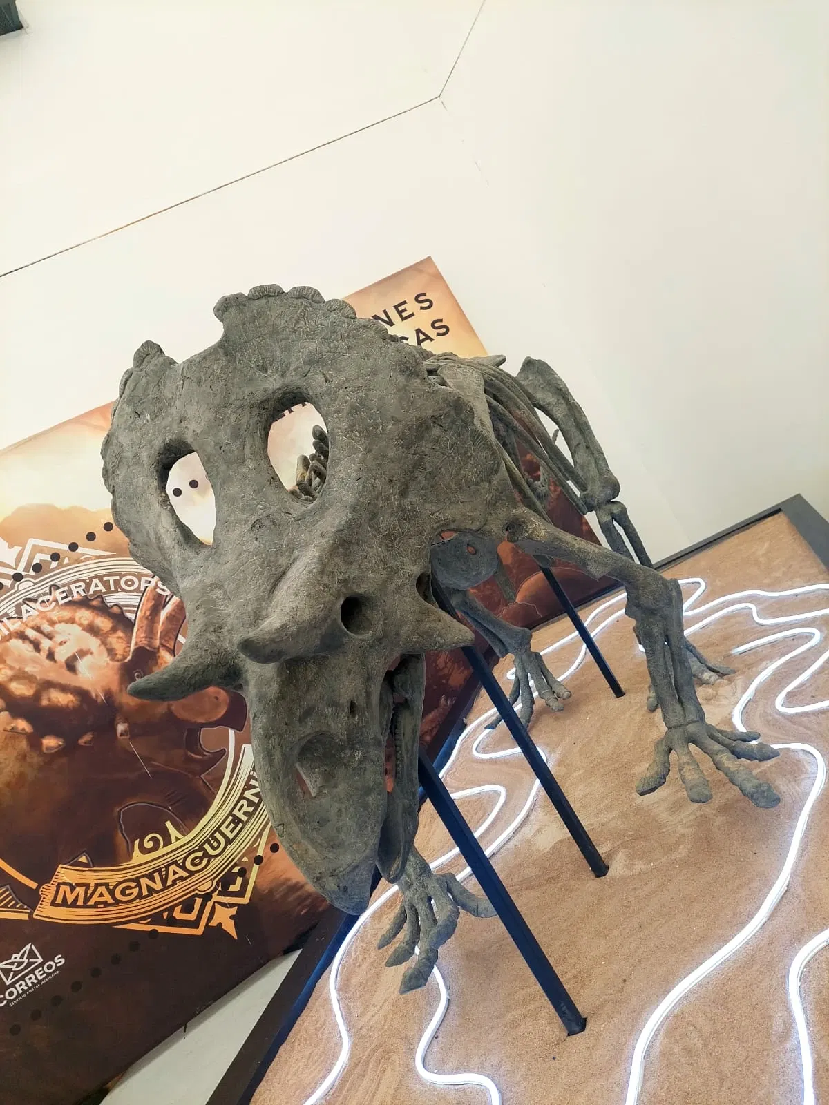 Discover Interactive Museum of Science and Technology