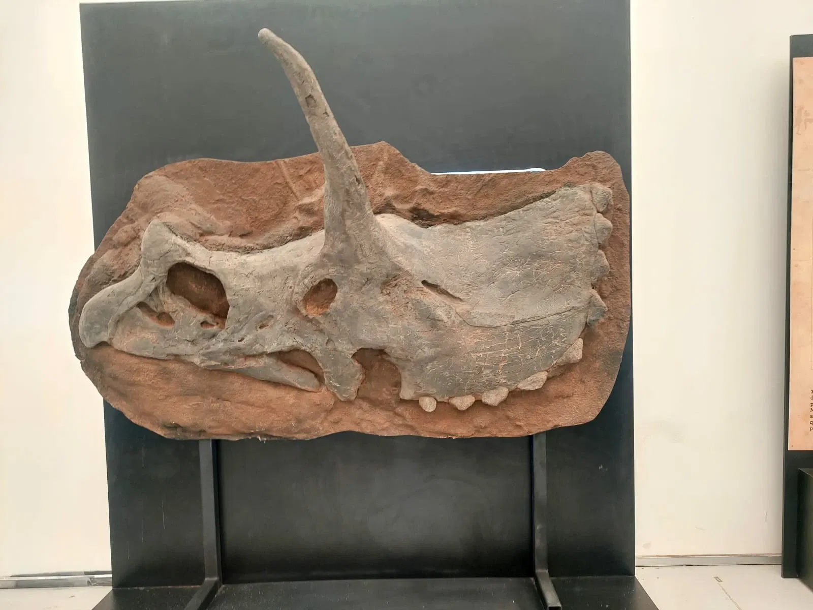 Descubre Museo Interactivo de Ciencia y Tecnología