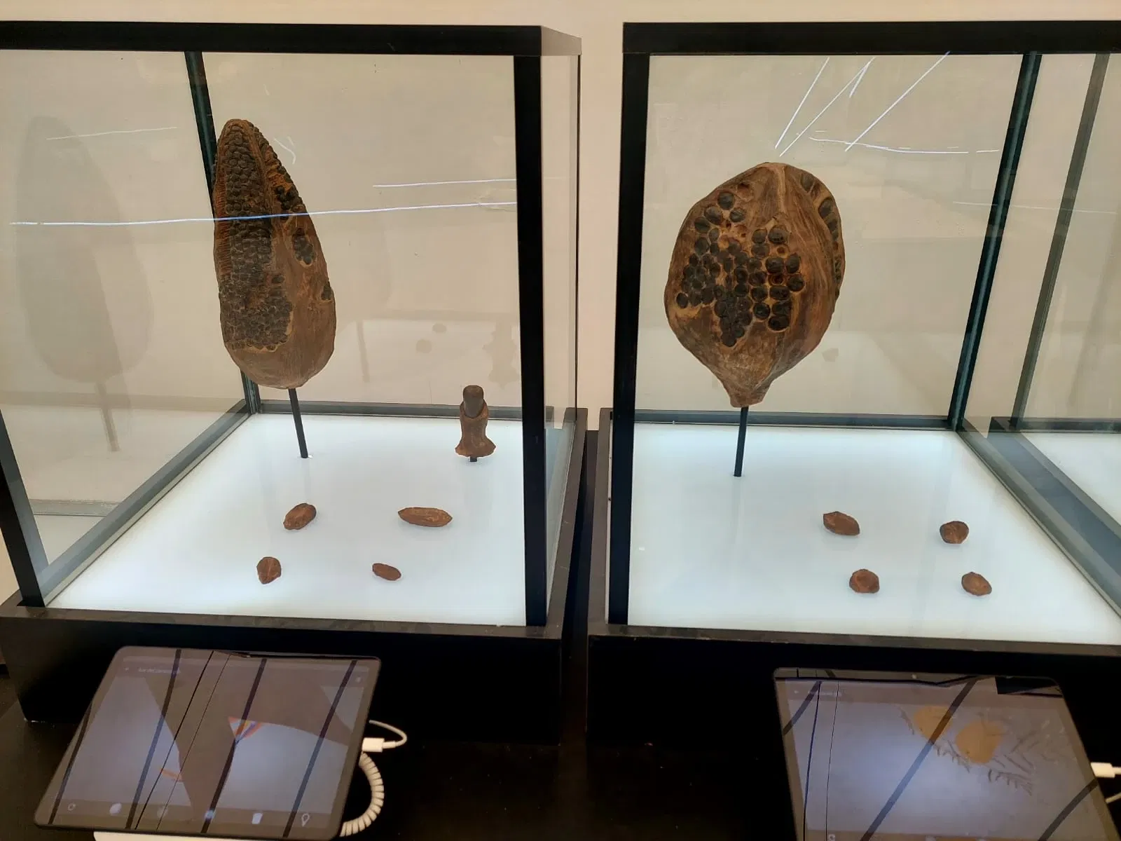 Discover Interactive Museum of Science and Technology