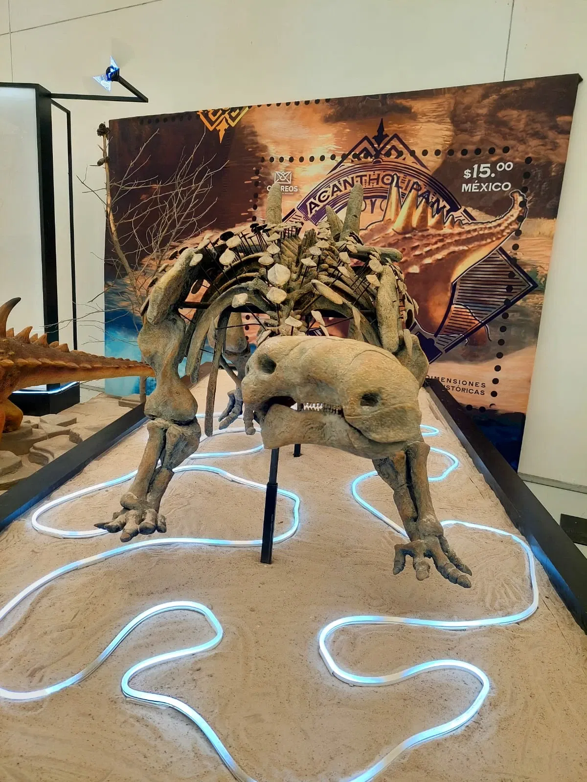 Discover Interactive Museum of Science and Technology