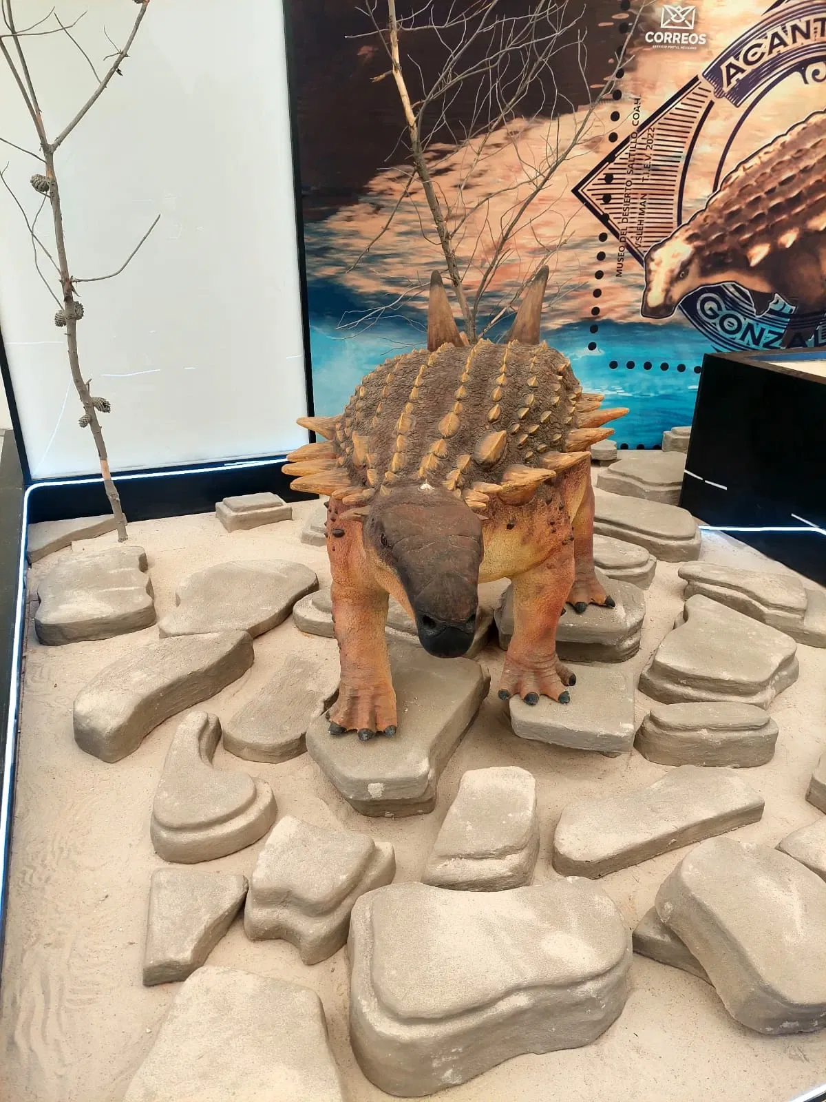 Discover Interactive Museum of Science and Technology