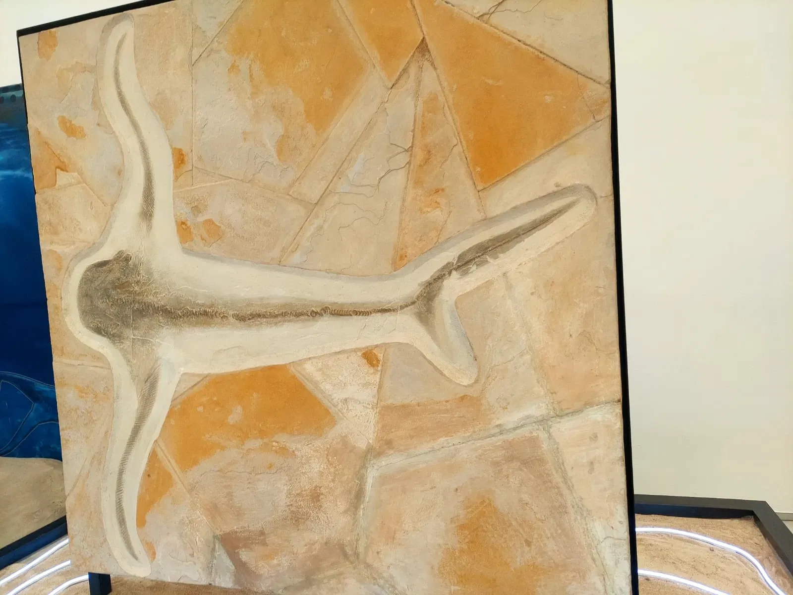 Discover Interactive Museum of Science and Technology