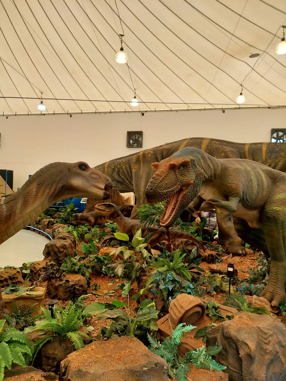 Descubre Museo Interactivo de Ciencia y Tecnología