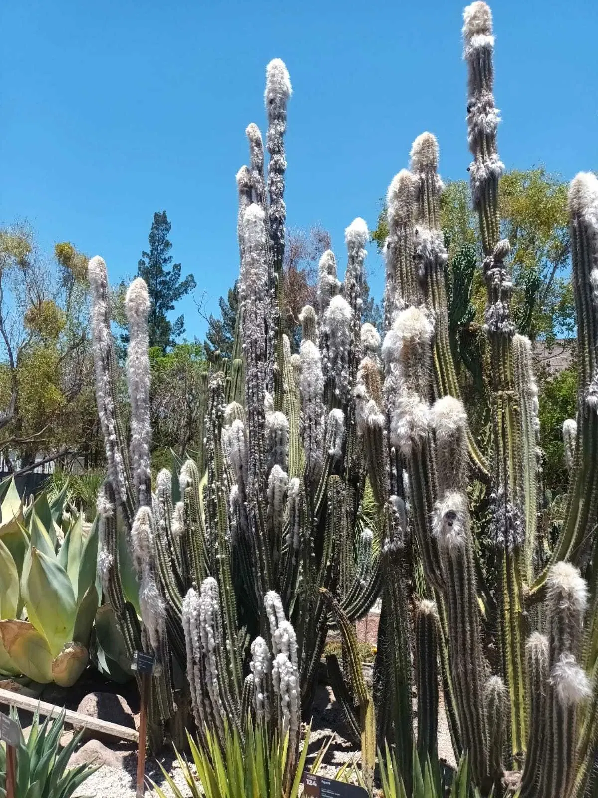 Descubre Museo Interactivo de Ciencia y Tecnología