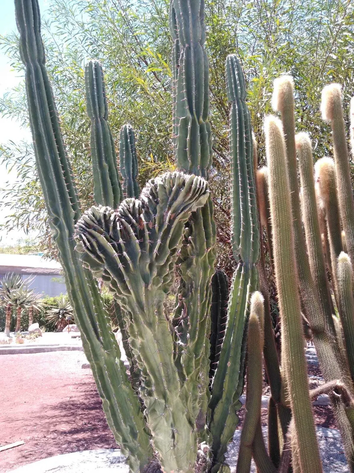 Descubre Museo Interactivo de Ciencia y Tecnología