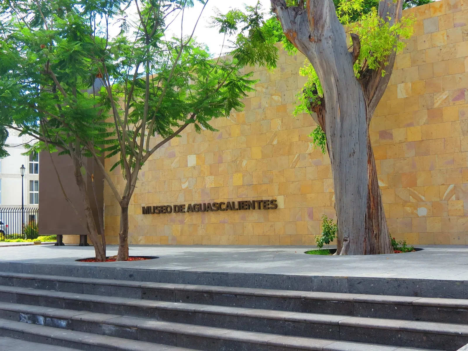 Aguascalientes Museum