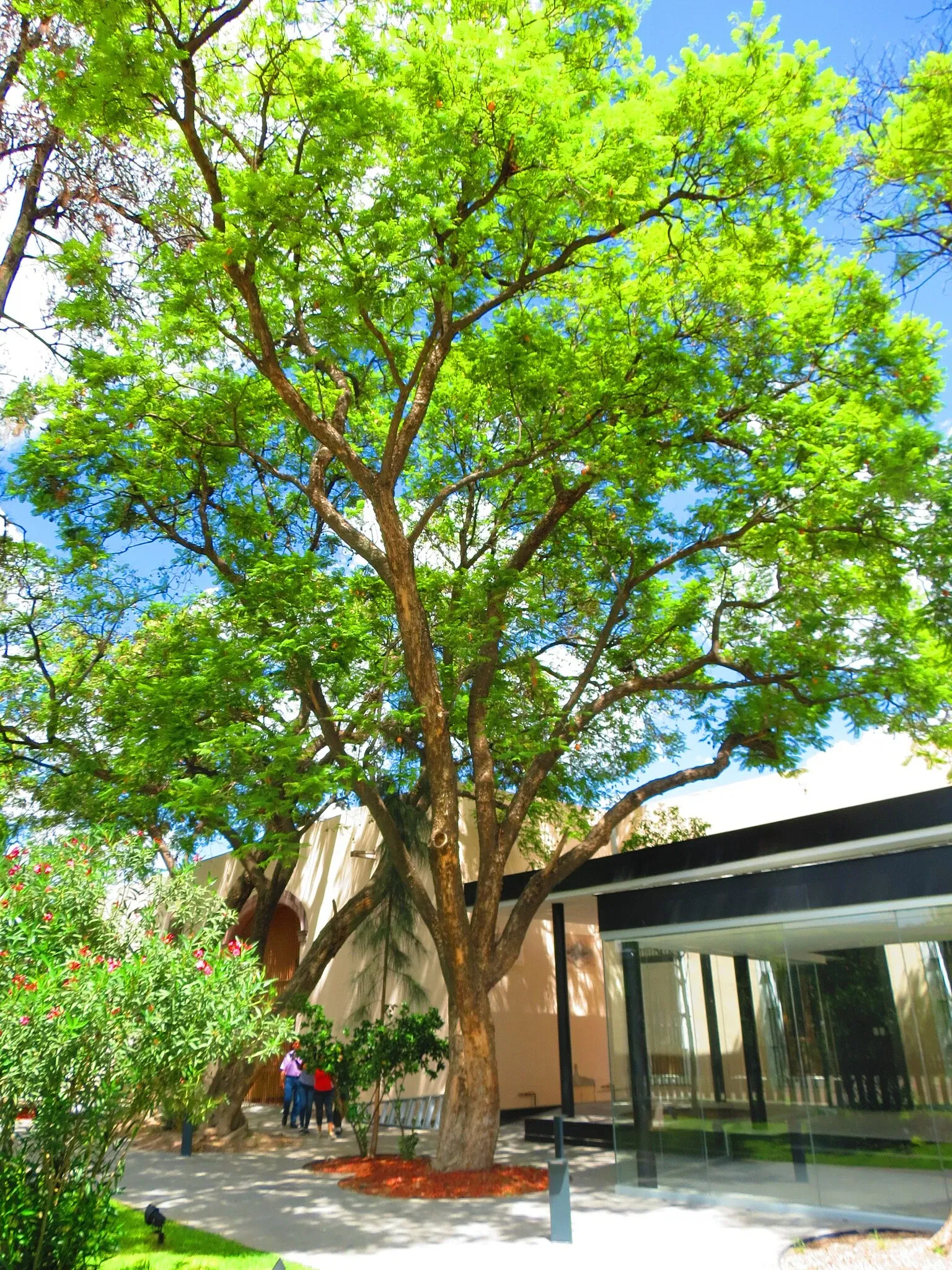 Museo di Aguascalientes