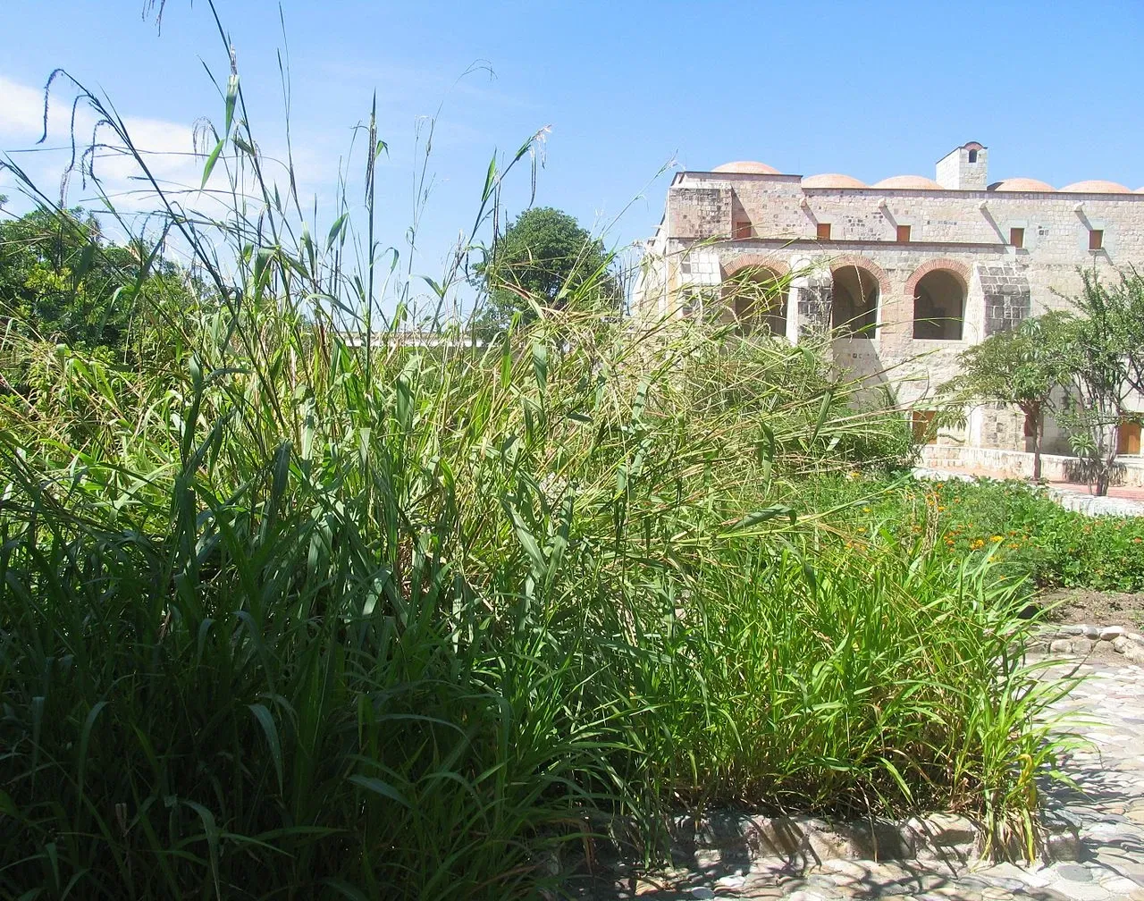 Ethnobotanical Garden