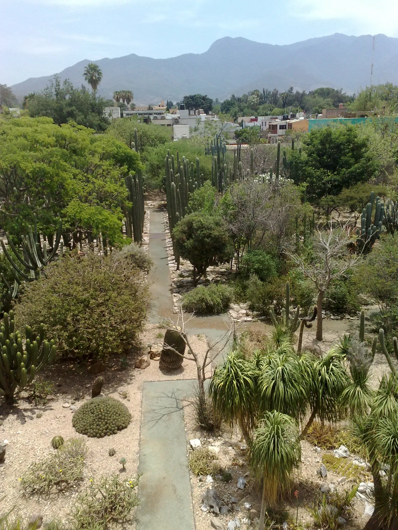 Jardín Etnobotánico de Oaxaca