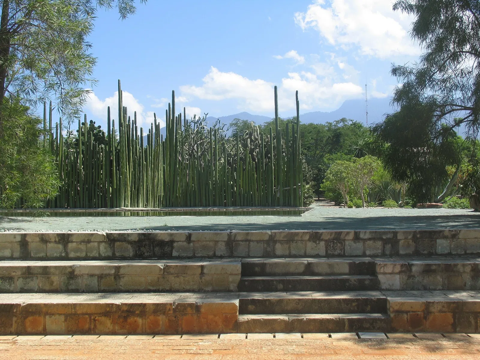 Jardín Etnobotánico de Oaxaca