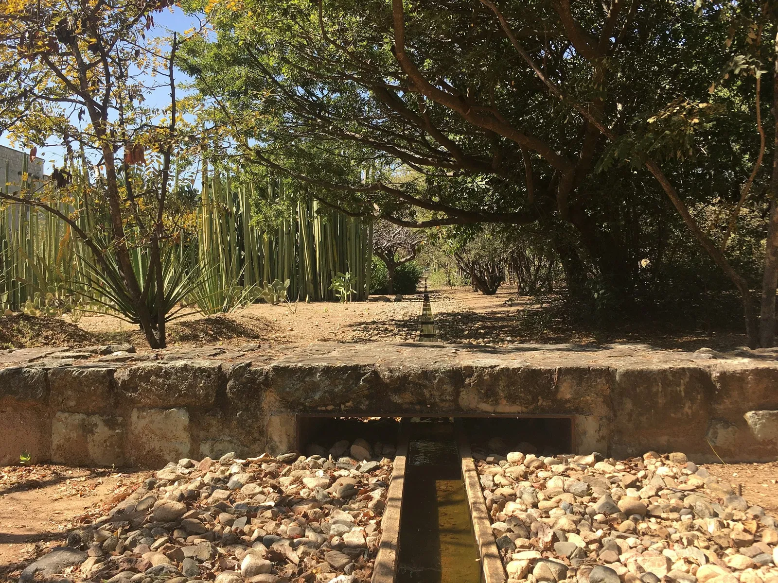 Jardín Etnobotánico de Oaxaca