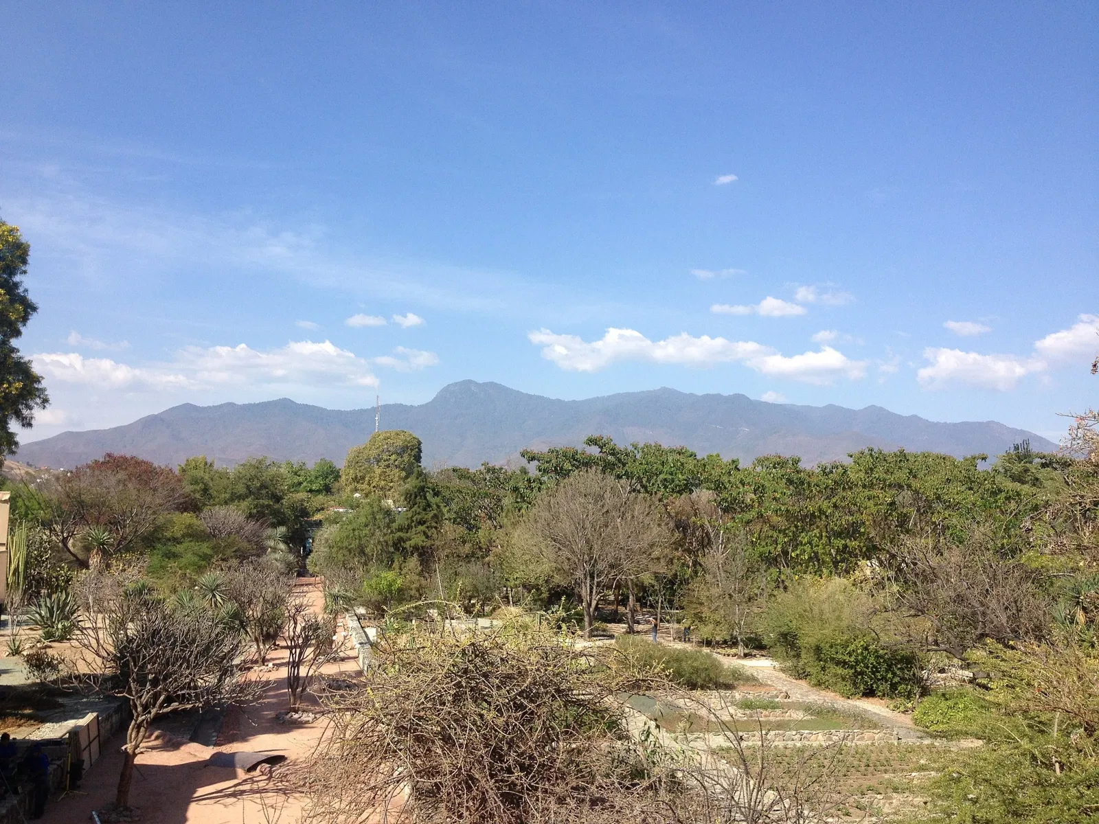 Jardín Etnobotánico de Oaxaca