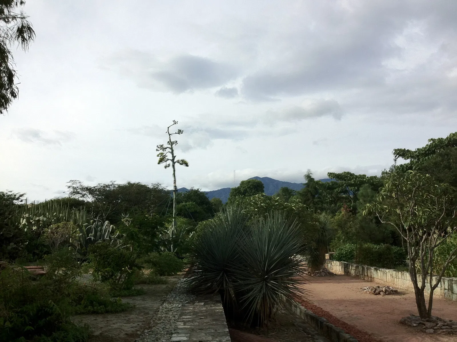 Ethnobotanical Garden