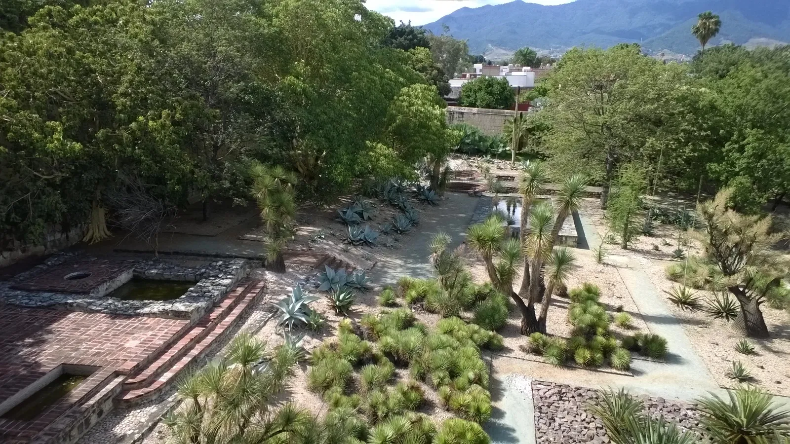 Jardín Etnobotánico de Oaxaca