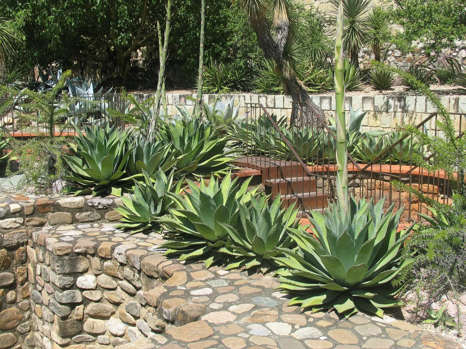 Jardín Etnobotánico de Oaxaca