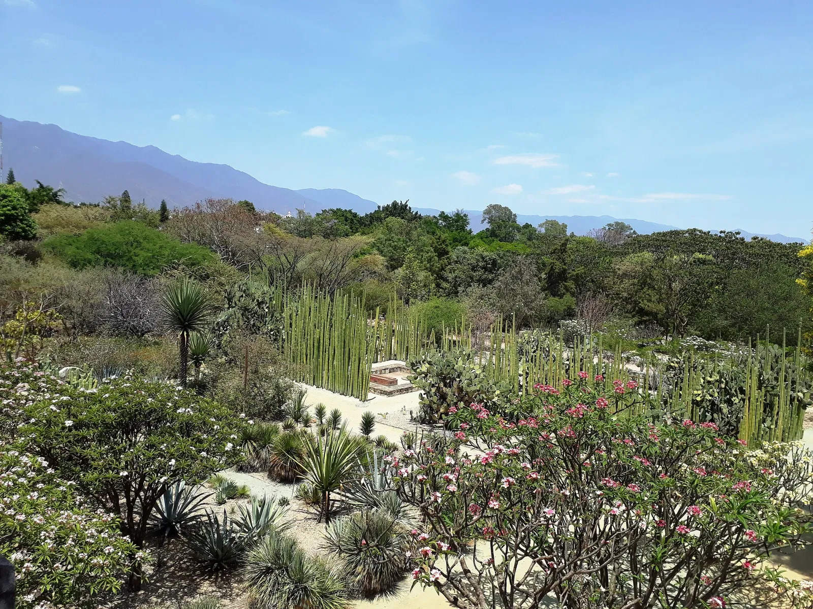 Ethnobotanical Garden