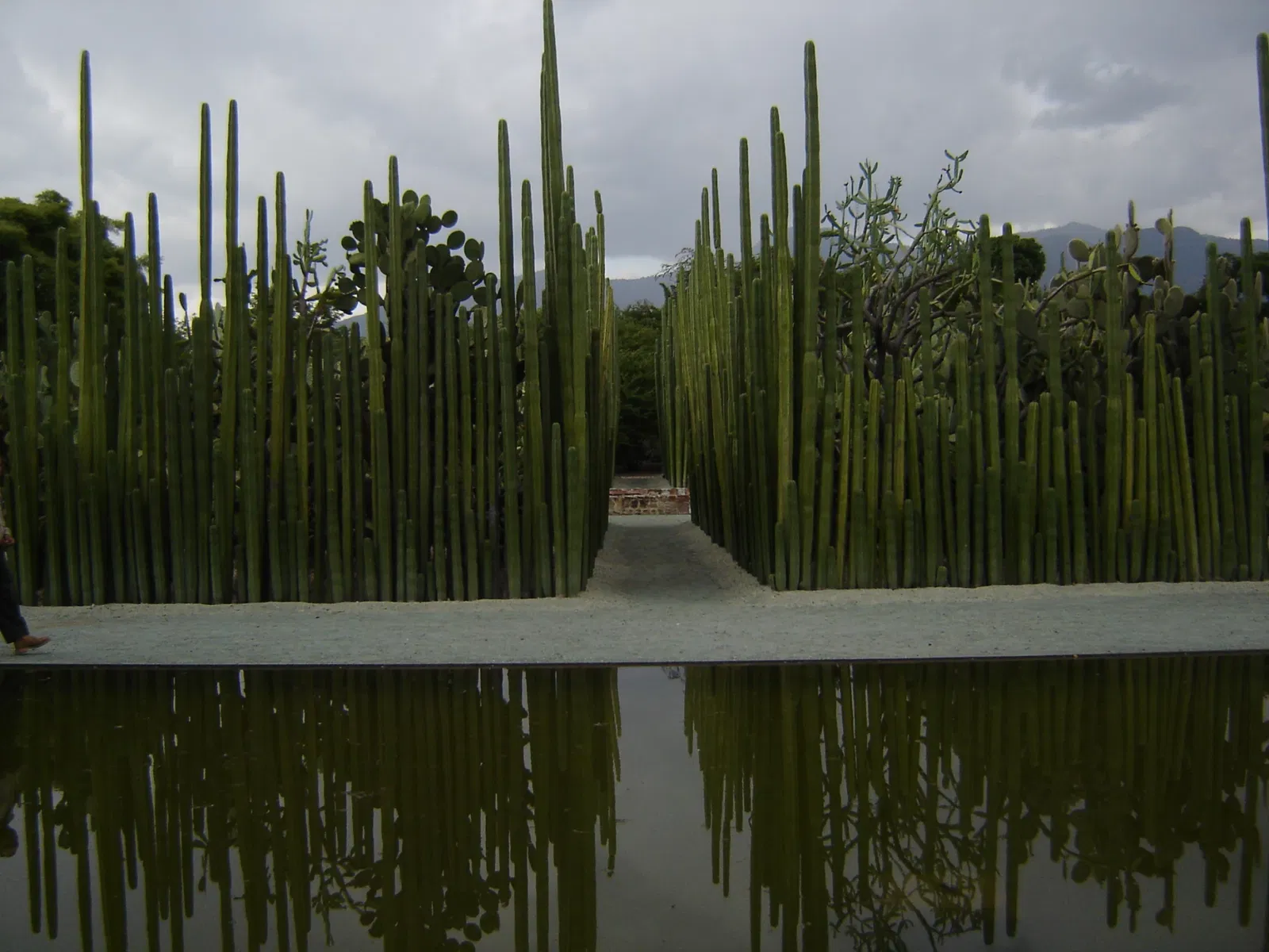 Jardín Etnobotánico de Oaxaca