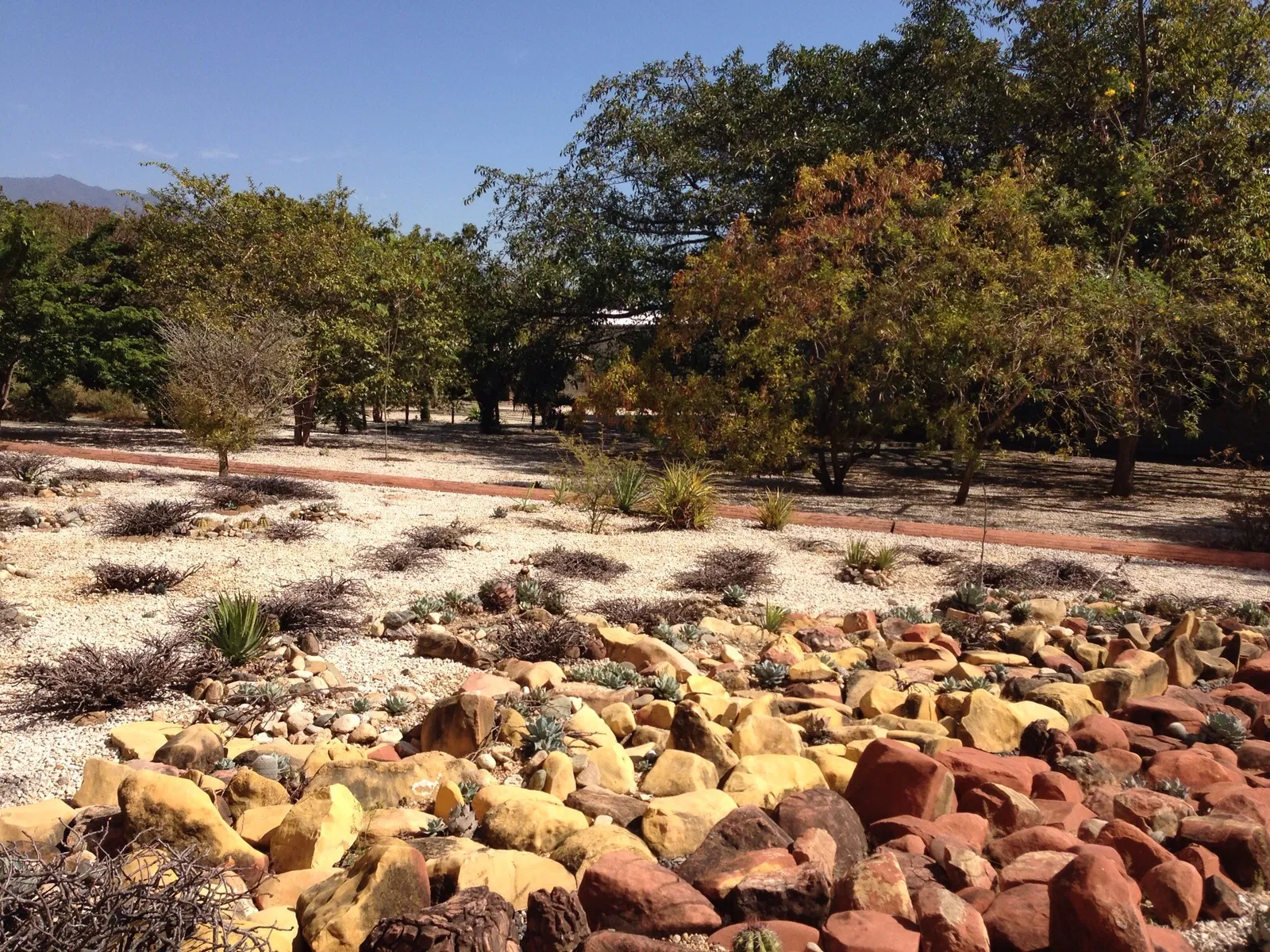 Jardín Etnobotánico de Oaxaca