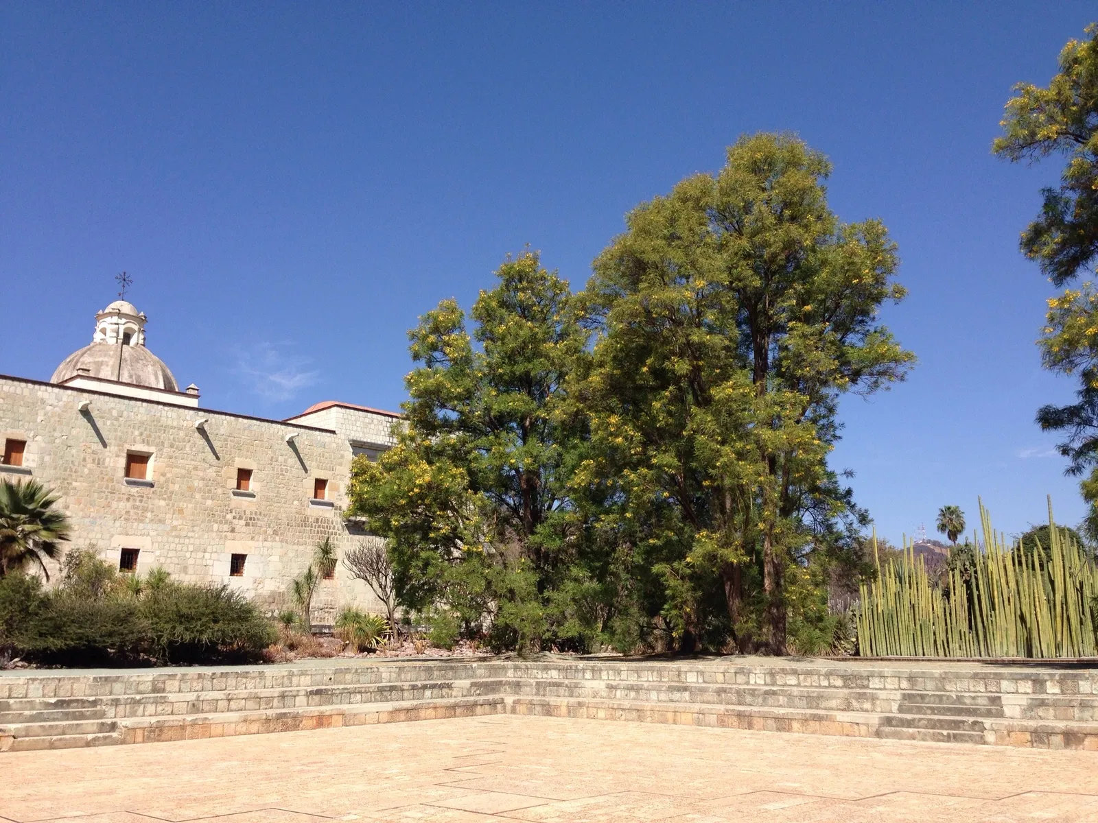 Jardín Etnobotánico de Oaxaca