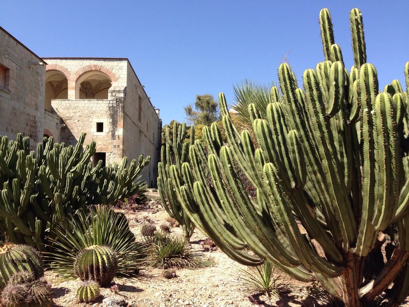 Ethnobotanical Garden