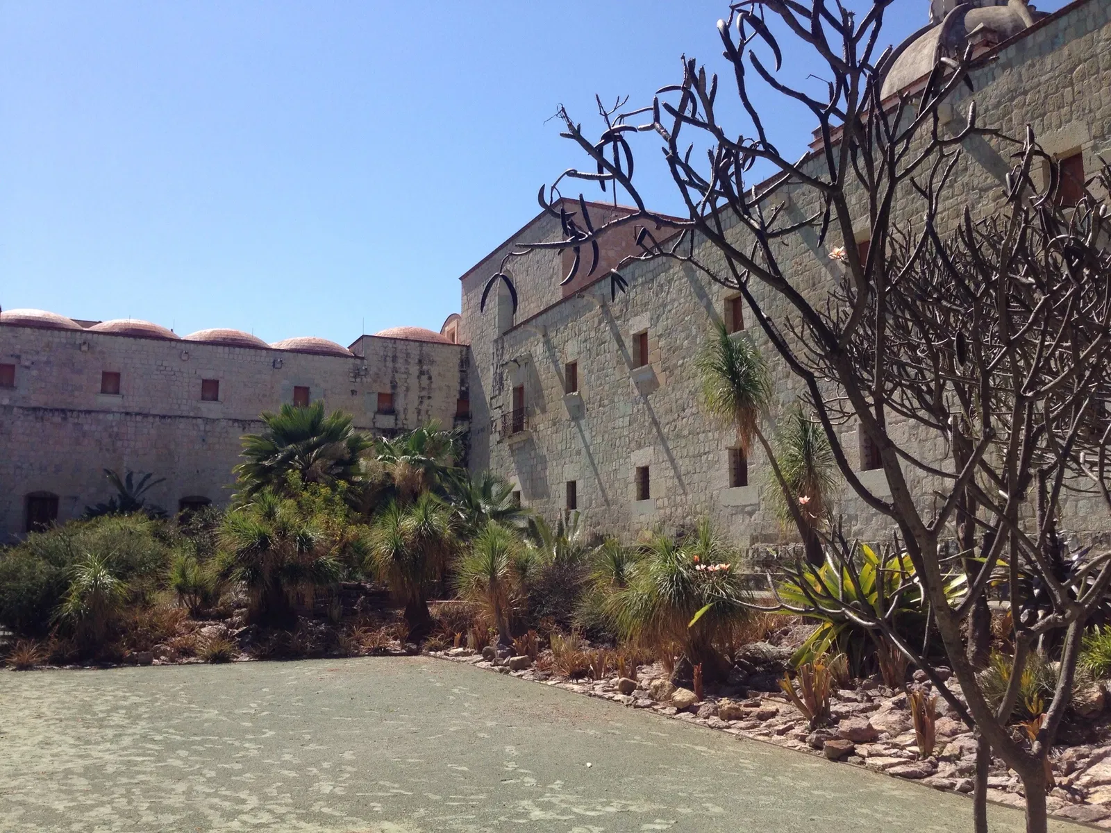 Ethnobotanical Garden