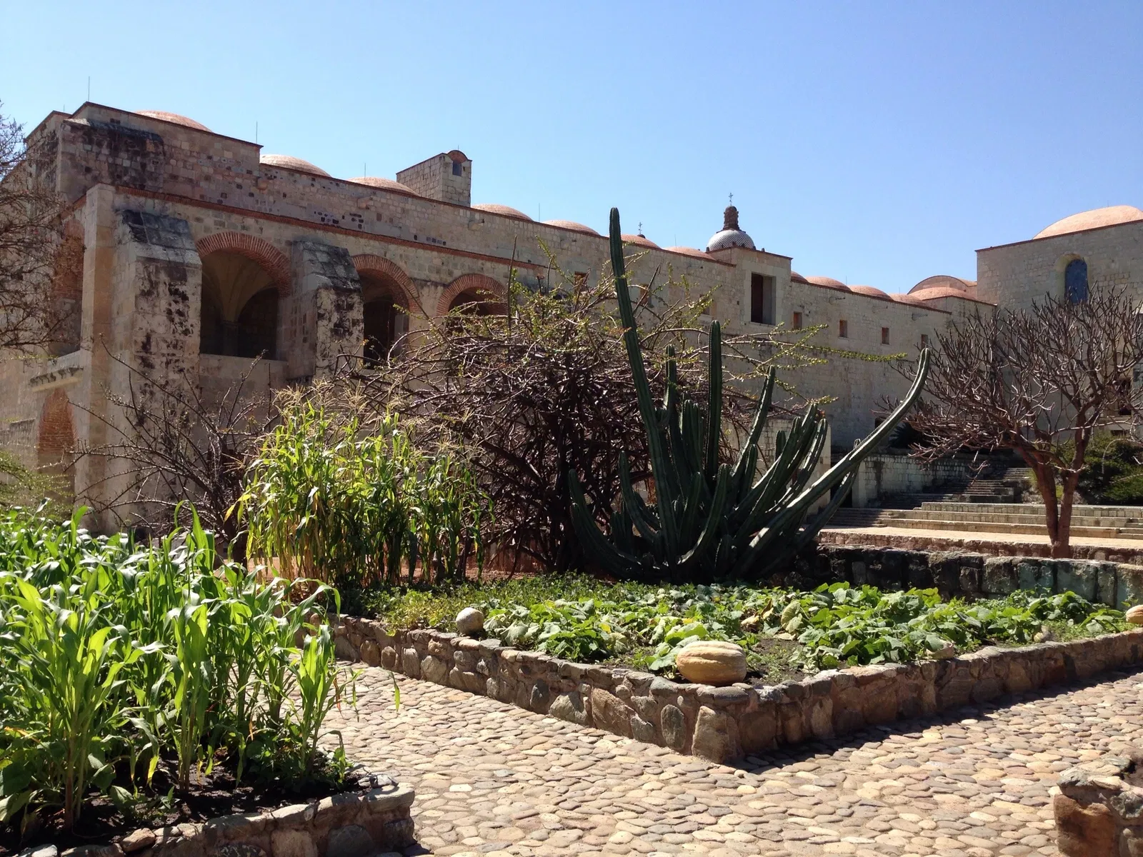 Ethnobotanical Garden