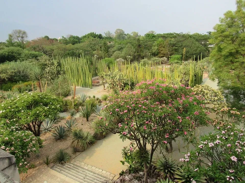 Jardín Etnobotánico de Oaxaca