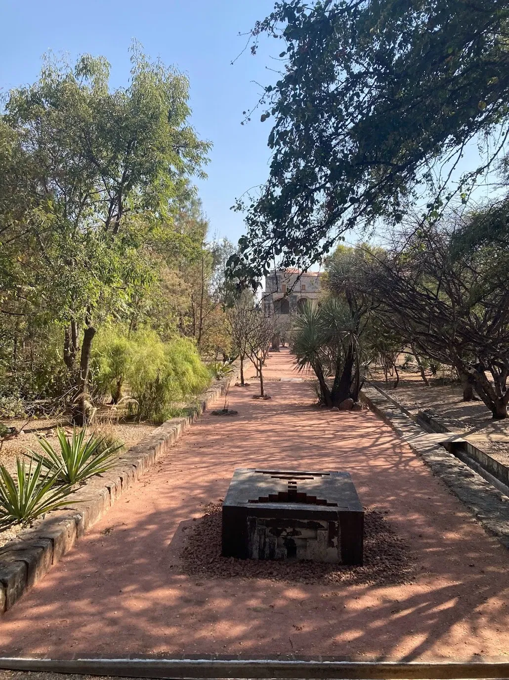 Jardín Etnobotánico de Oaxaca