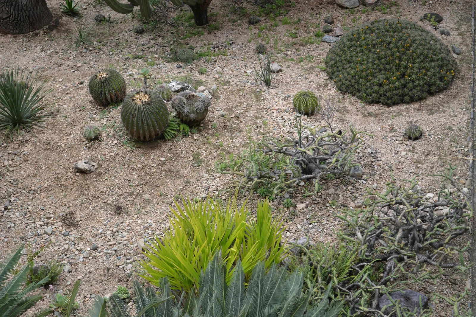 Ethnobotanical Garden