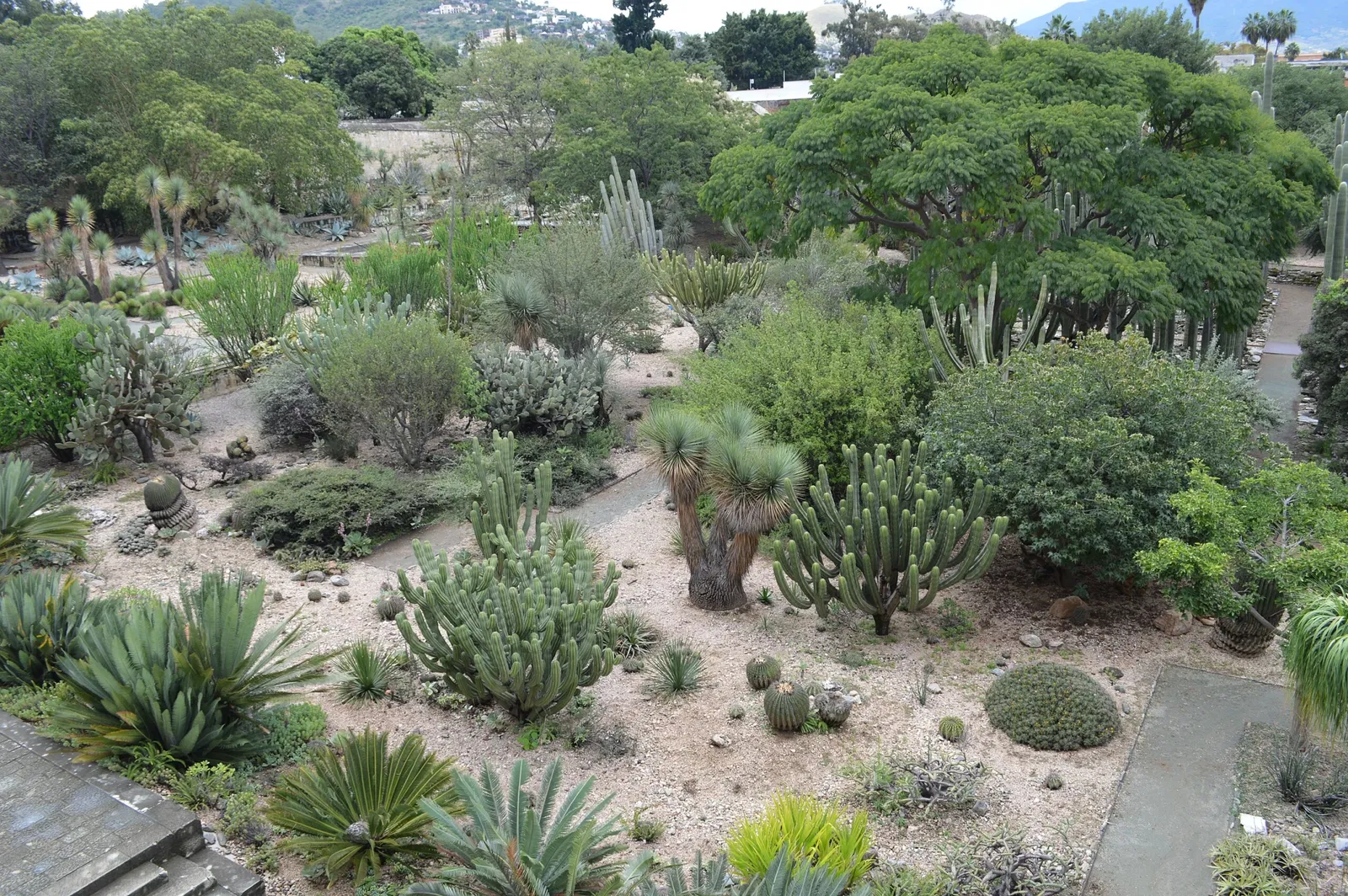 Ethnobotanical Garden