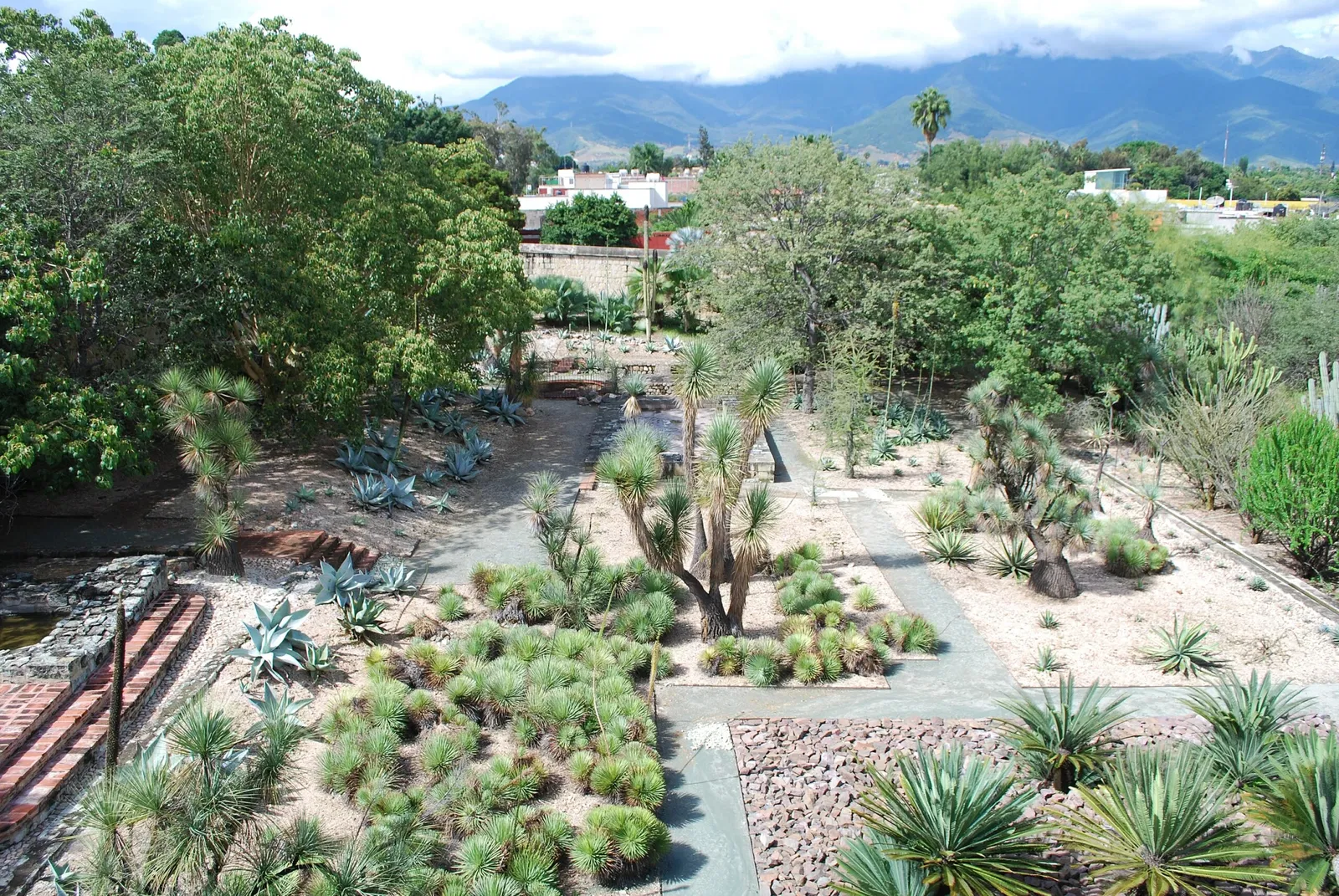 Jardín Etnobotánico de Oaxaca