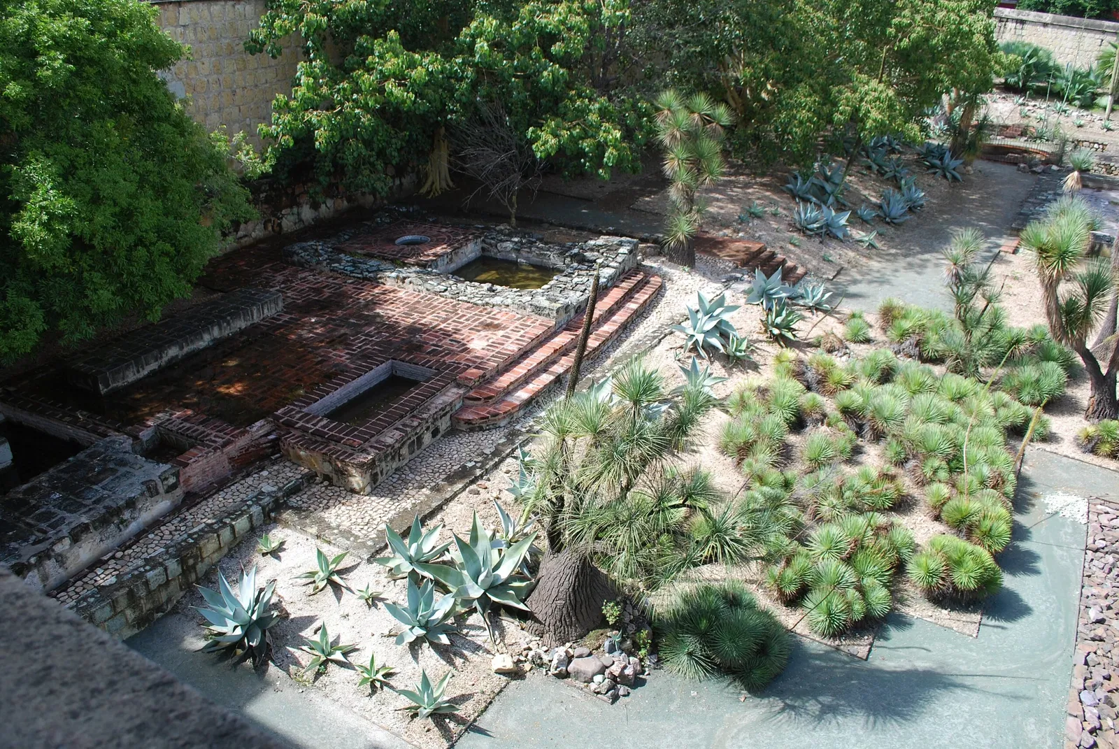 Jardín Etnobotánico de Oaxaca