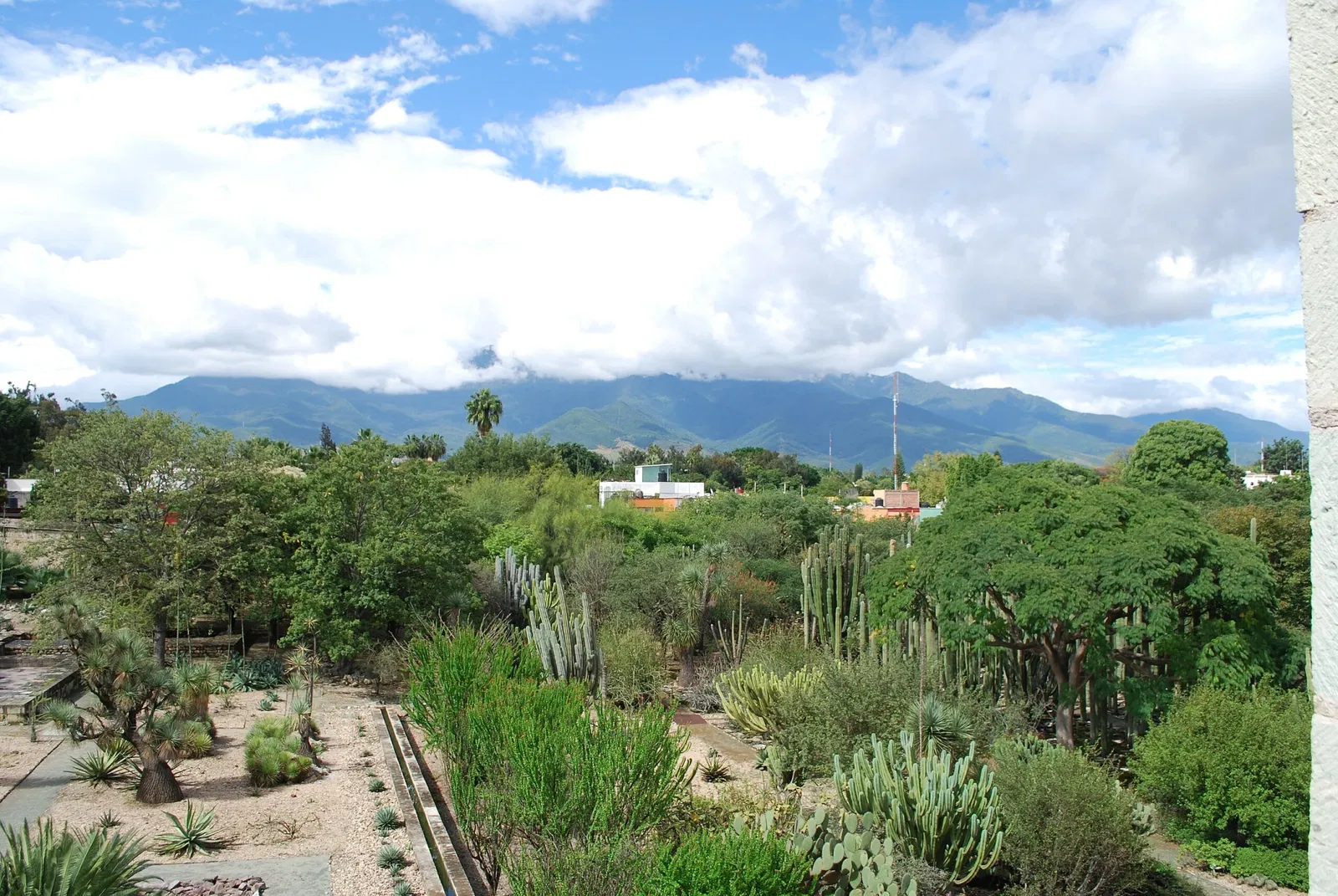 Jardín Etnobotánico de Oaxaca