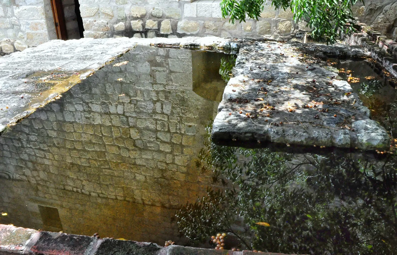 Jardín Etnobotánico de Oaxaca