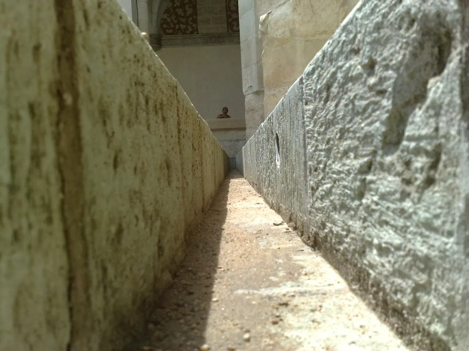 Templo de Santo Domingo de Guzmán (Oaxaca)