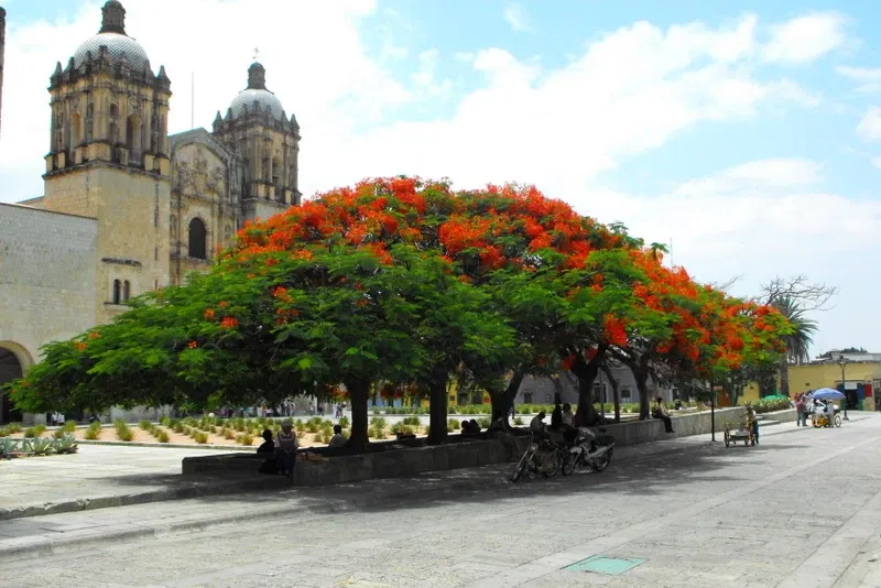 Chiesa di San Domenico (Oaxaca)