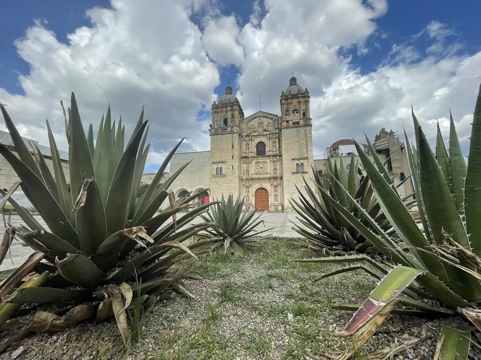 Chiesa di San Domenico (Oaxaca)