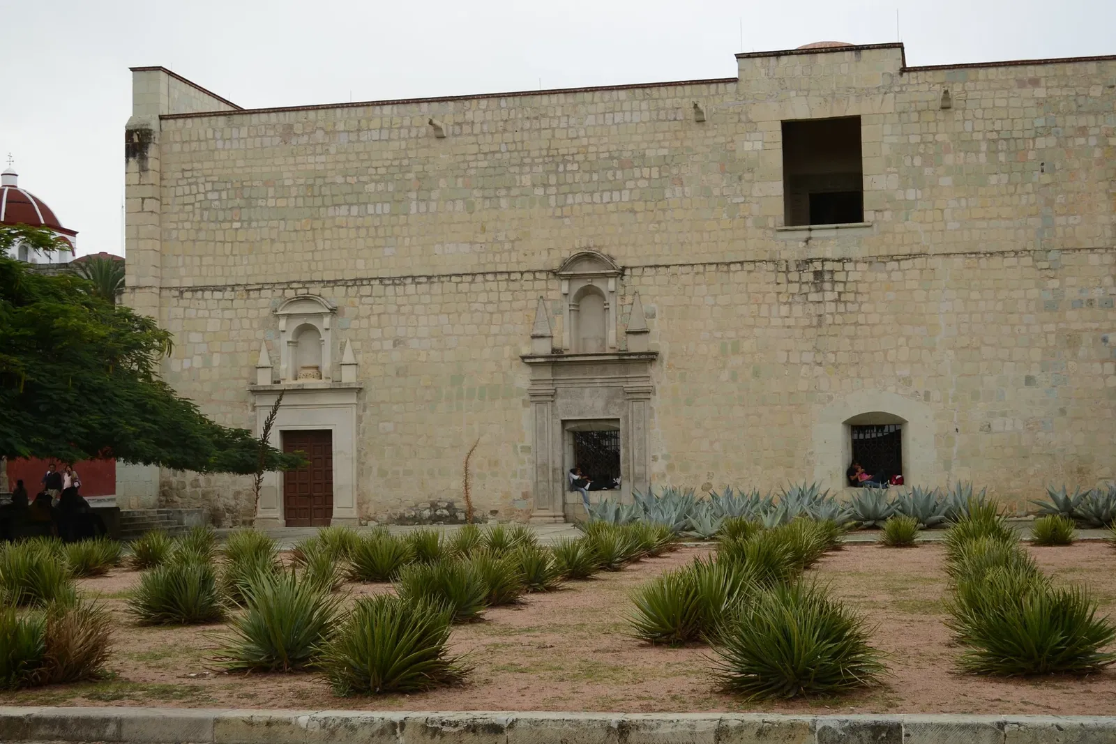 Chiesa di San Domenico (Oaxaca)