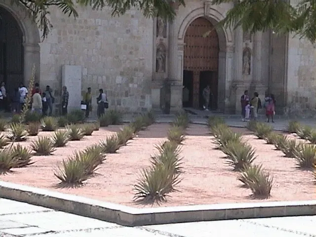Templo de Santo Domingo de Guzmán (Oaxaca)