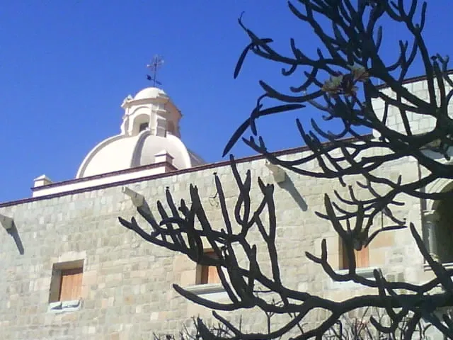 Chiesa di San Domenico (Oaxaca)