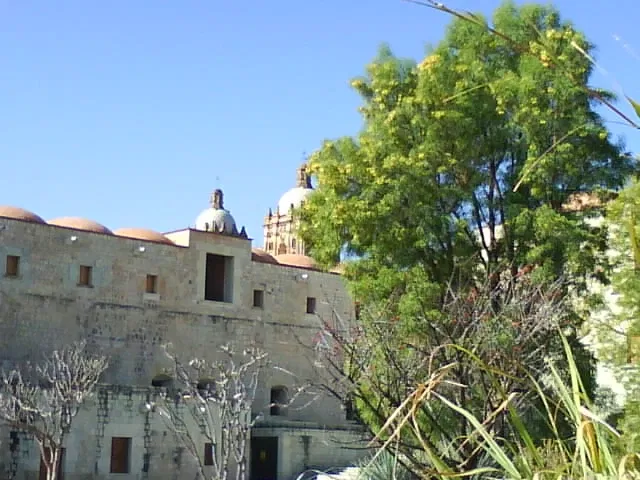 Santo Domingo de Guzmán (Oaxaca)
