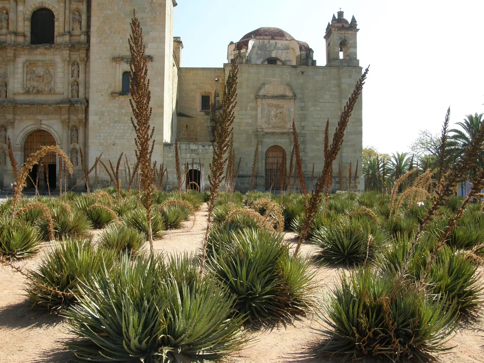 Église Saint-Dominique-de-Guzmán d'Oaxaca de Juárez