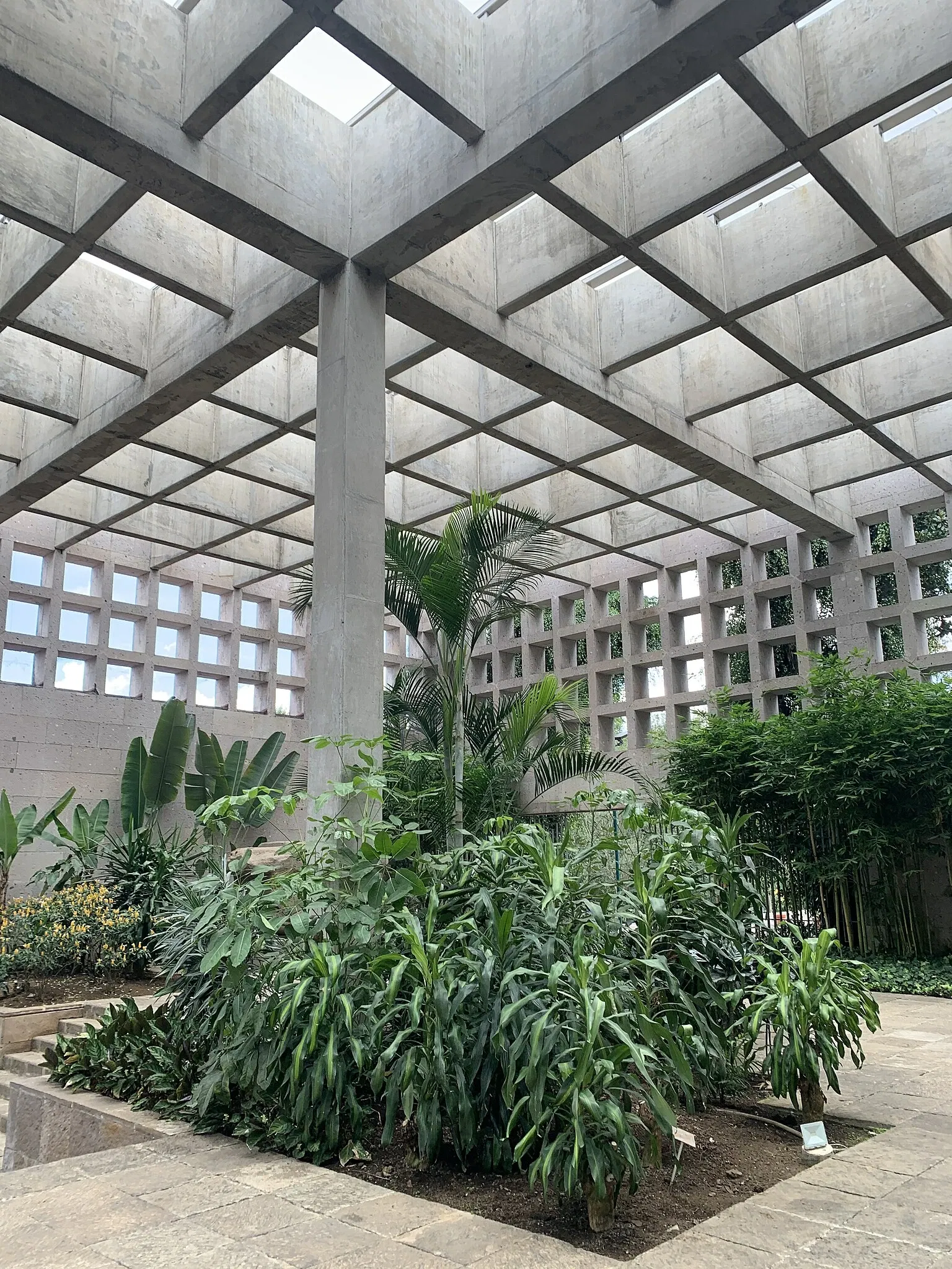 Antropologiemuseum van Xalapa