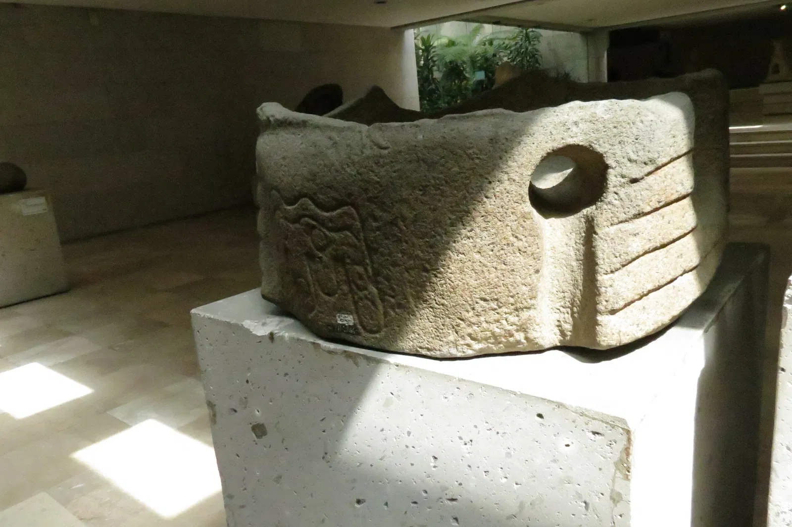 Museo di antropologia di Xalapa