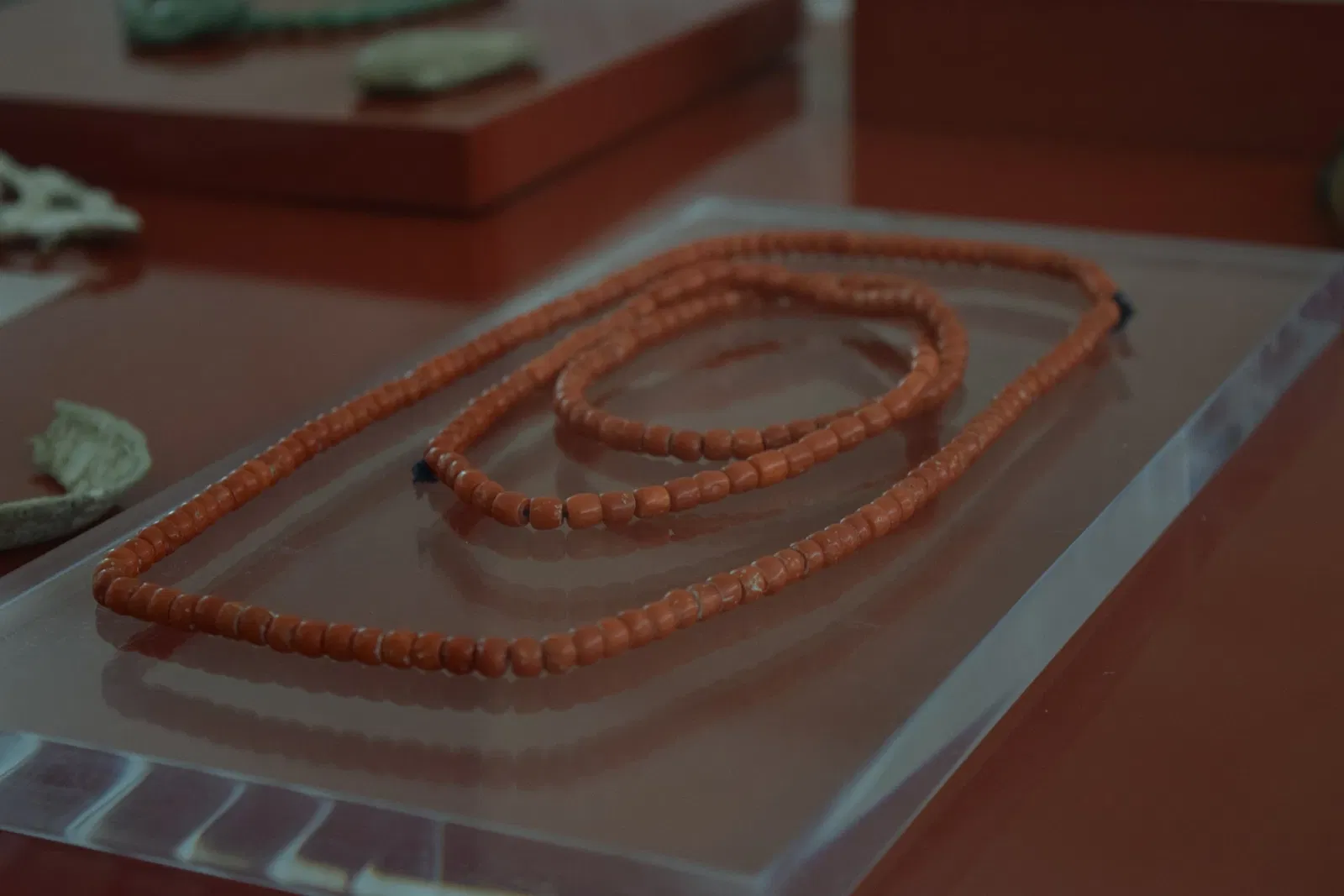 Antropologiemuseum van Xalapa