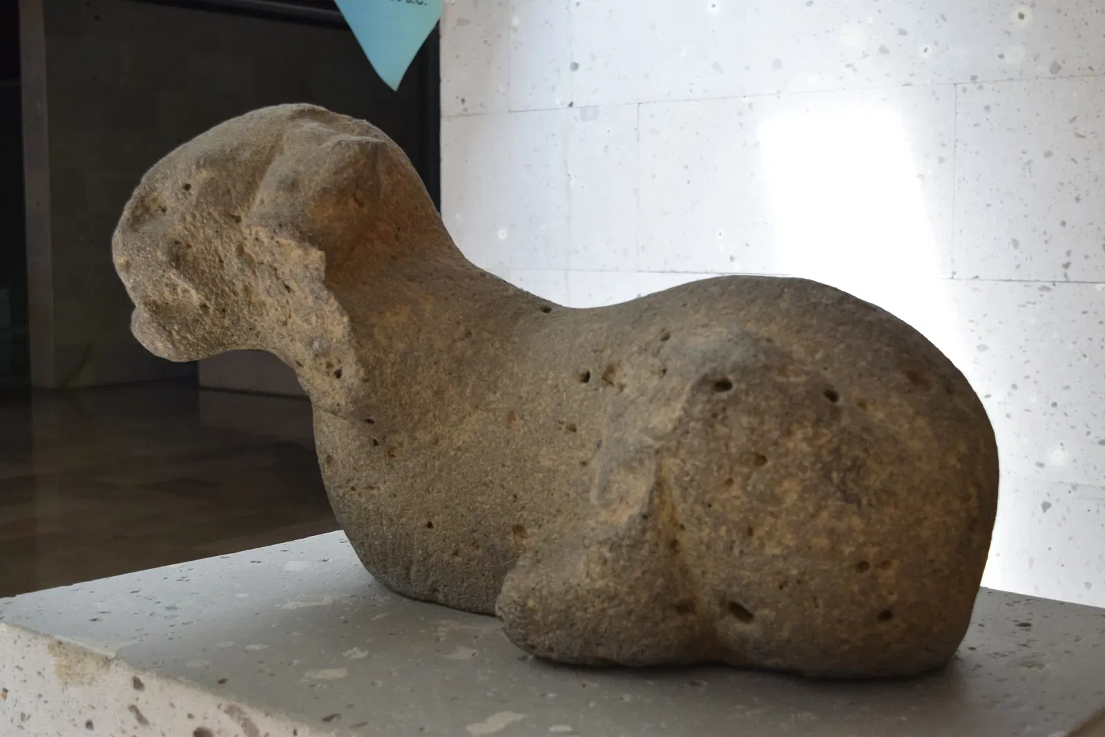 Museo di antropologia di Xalapa