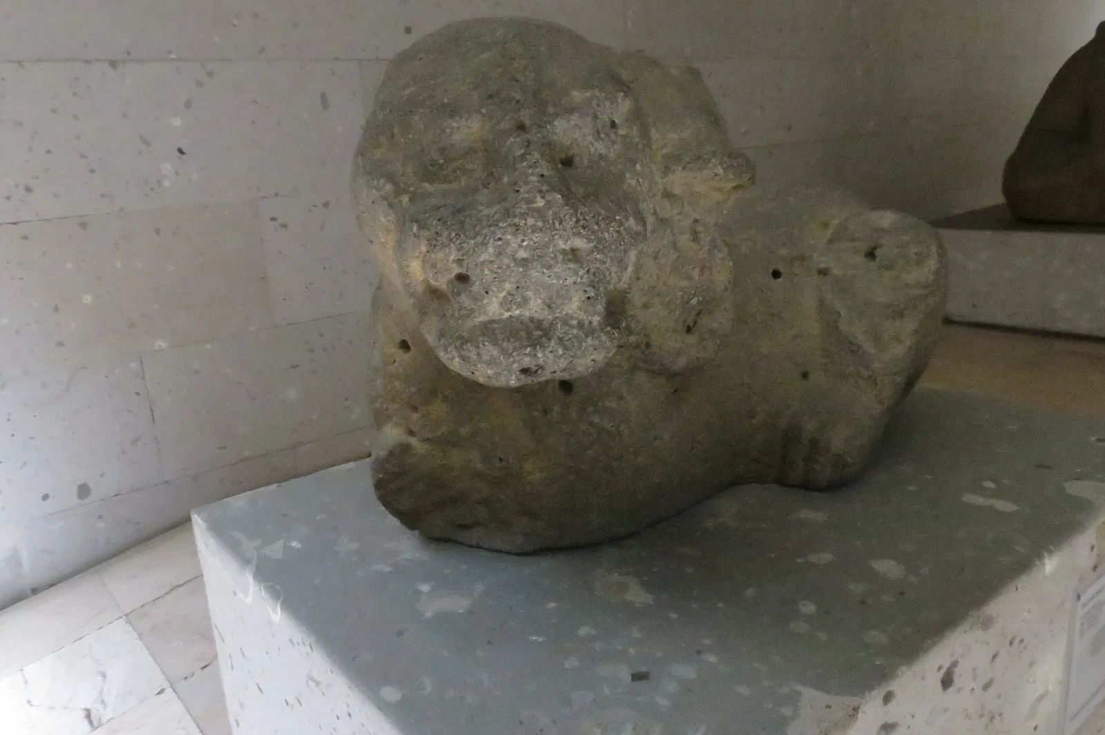 Museo di antropologia di Xalapa