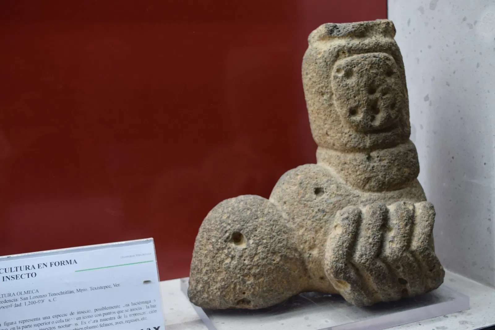 Antropologiemuseum van Xalapa