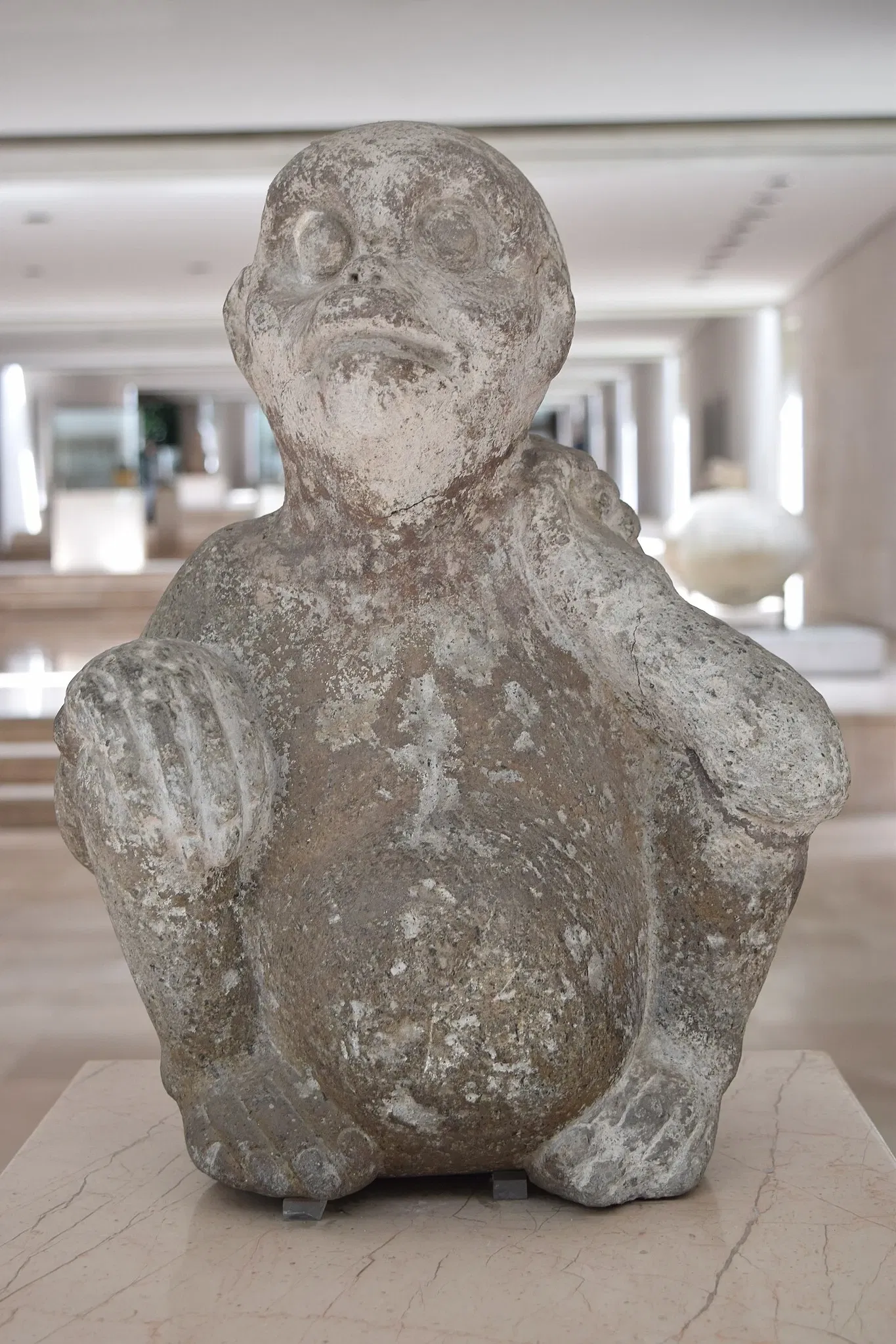 Antropologiemuseum van Xalapa